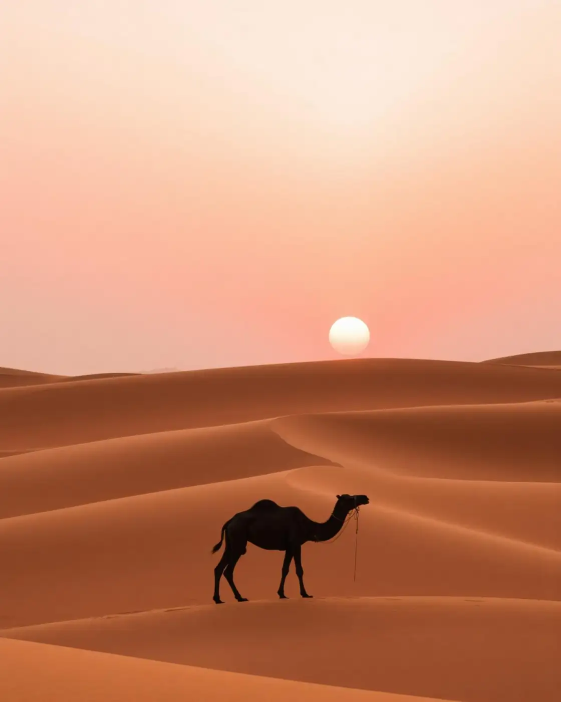 Rajasthan